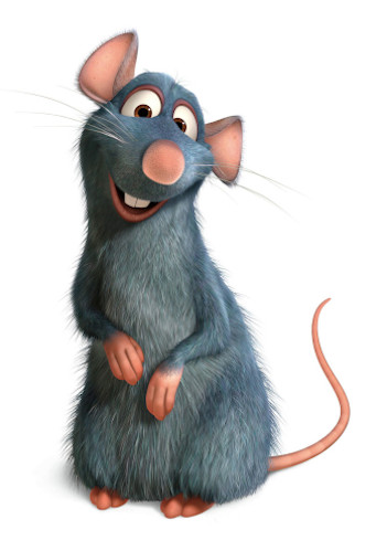 image_de_remy